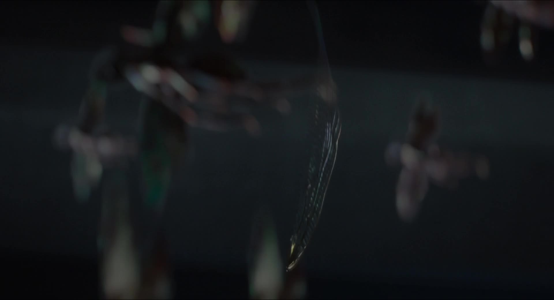 Download Ant-Man (2015) HD Movie 480p [381MB] || 720p [758MB] || 1080p [1.30GB]