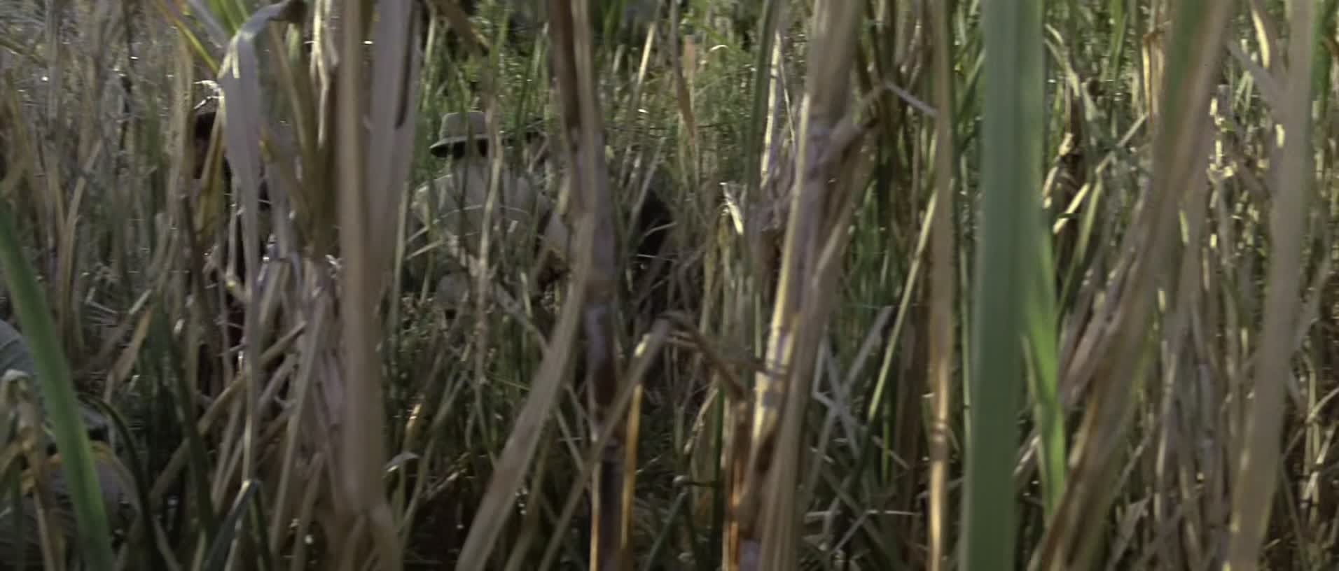 Download Rambo: First Blood Part II (1985) HD Movie 480p [290MB] || 720p [779MB] || 1080p [1.46GB]