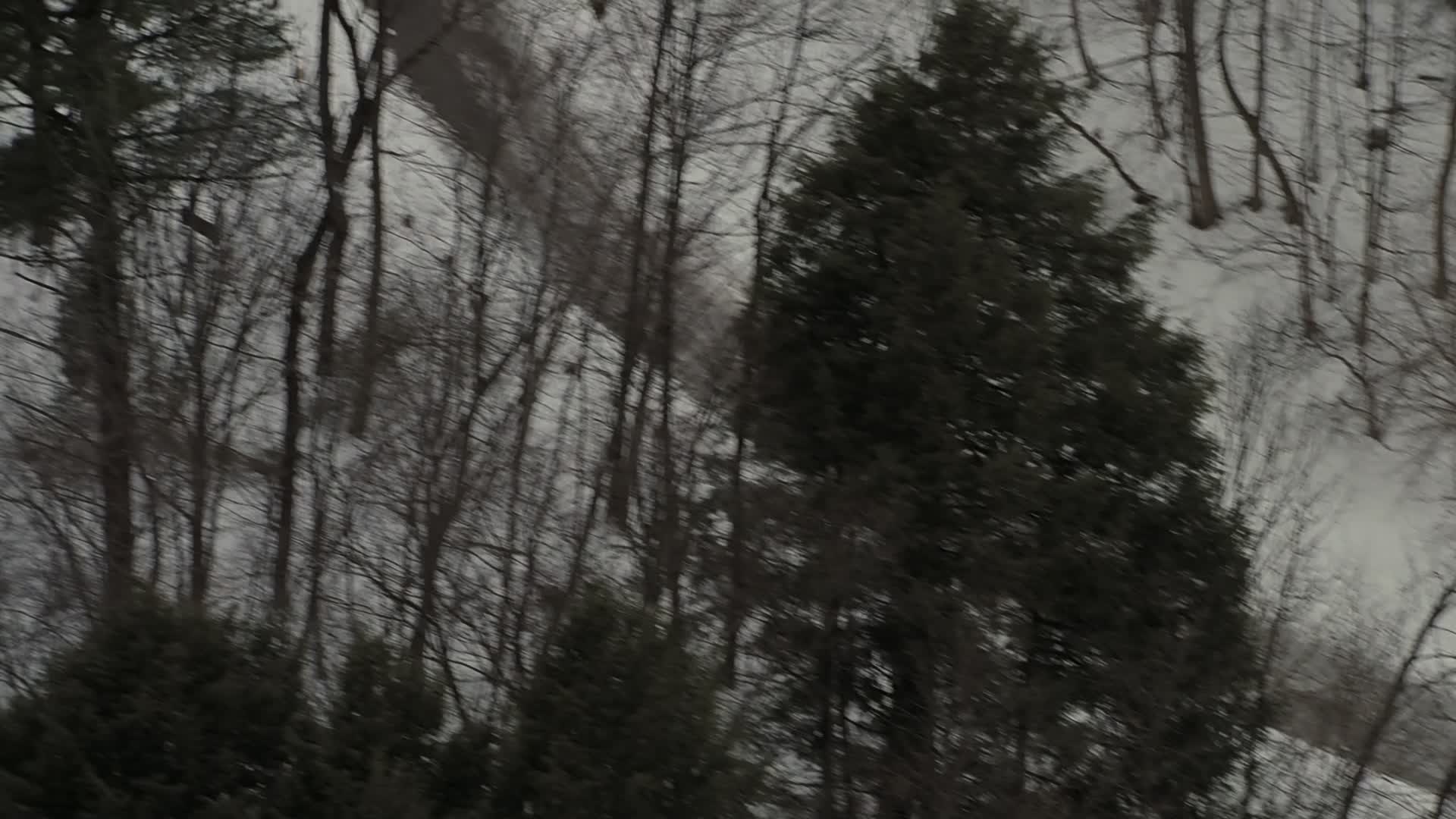 Download Orphan (2009) HD Movie 480p [405MB] || 720p [863MB] || 1080p [1.92GB]