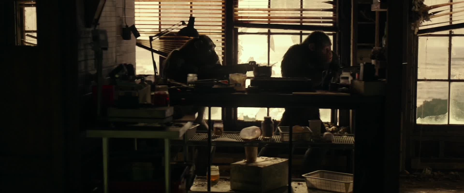 Download War for the Planet of the Apes (2017) HD Movie 480p [372MB] || 720p [1.13GB] || 1080p [2.04GB]