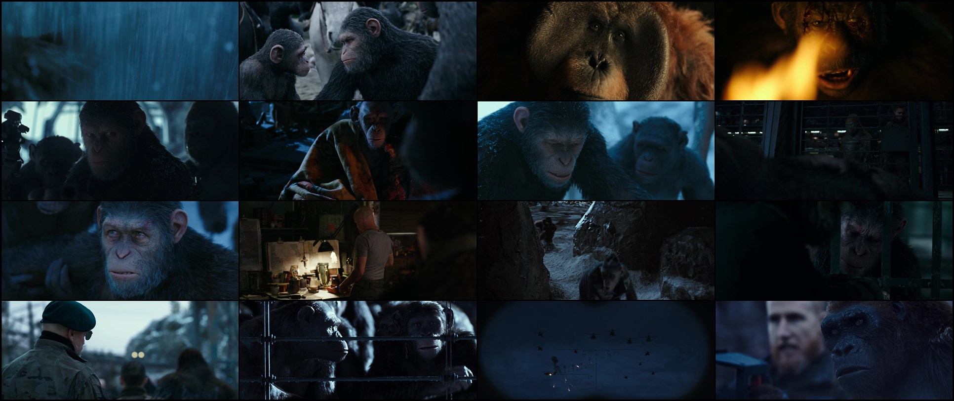 Download War for the Planet of the Apes (2017) HD Movie 480p [372MB] || 720p [1.13GB] || 1080p [2.04GB]