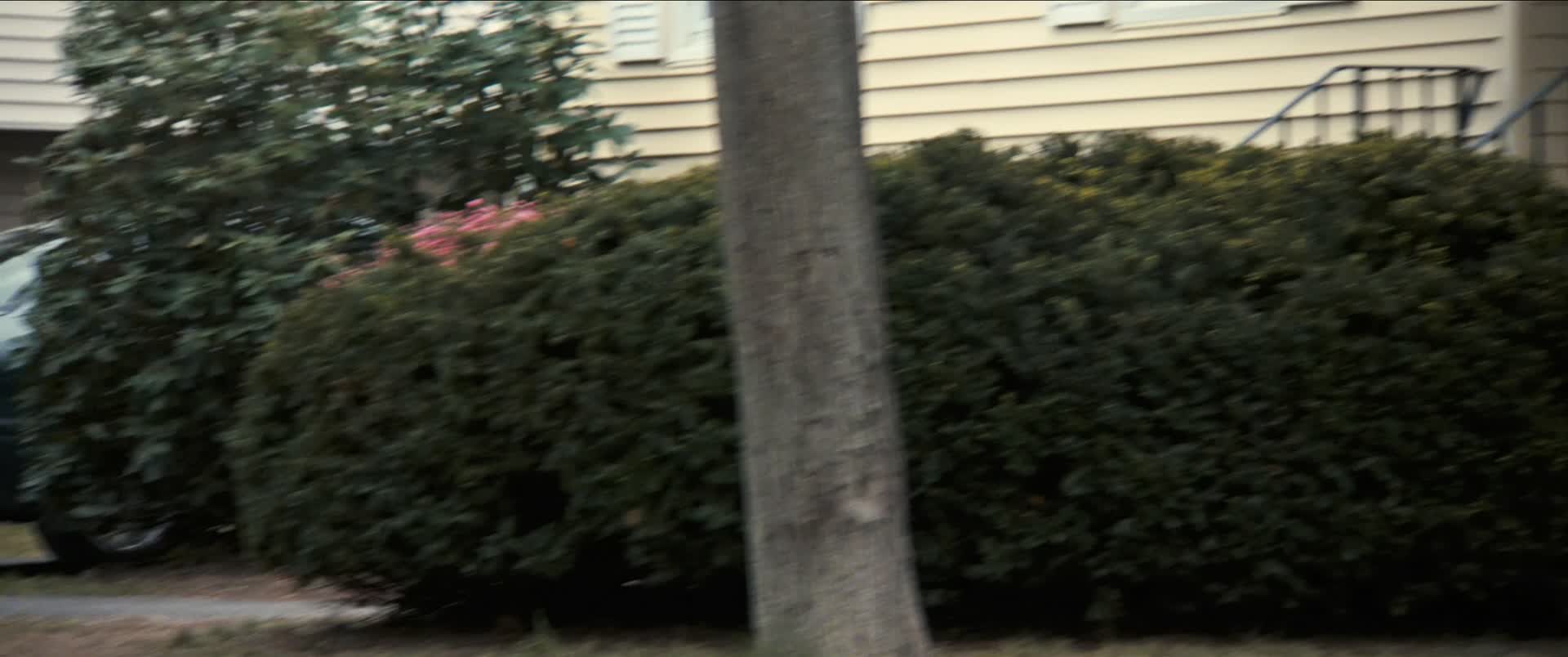 Download American Woman (2018) HD Movie 480p [339MB] || 720p [910MB] || 1080p [2.57GB]