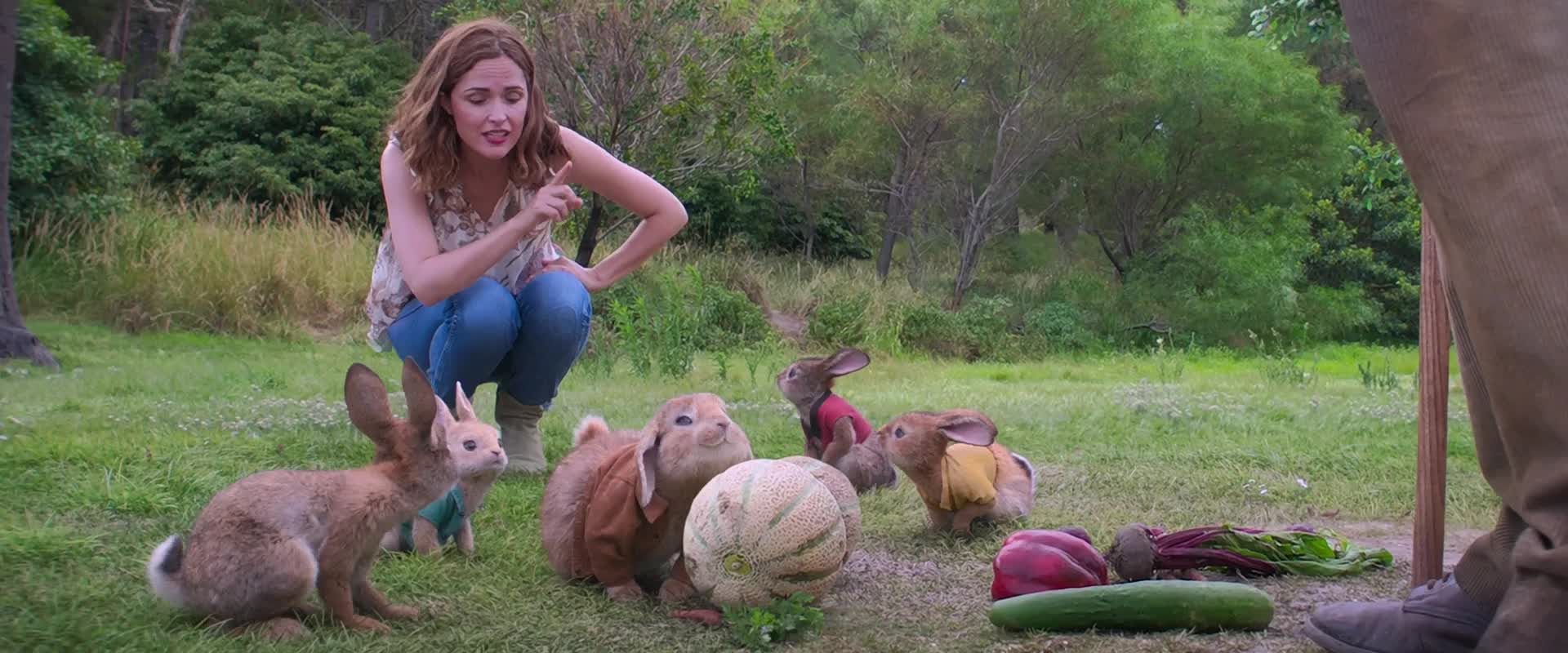 Download Peter Rabbit (2018) HD Movie 480p [295MB] || 720p [754MB] || 1080p [1.47GB]