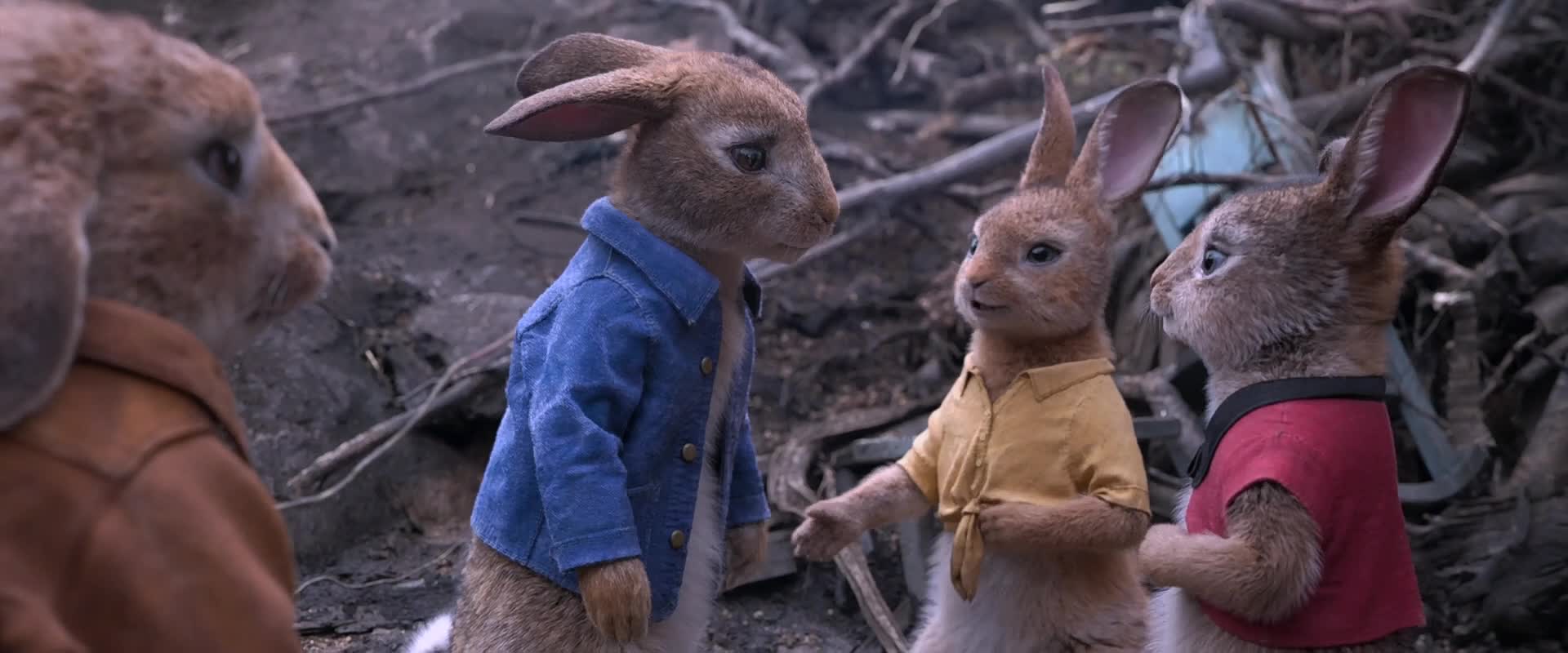 Download Peter Rabbit (2018) HD Movie 480p [295MB] || 720p [754MB] || 1080p [1.47GB]