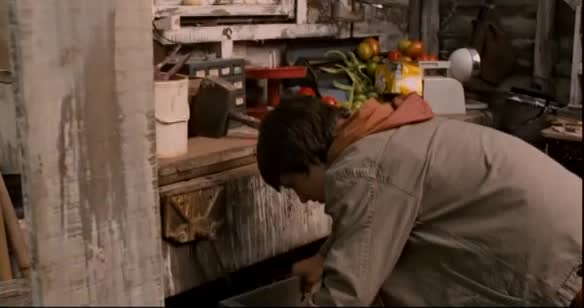 Download Bridge to Terabithia (2007) HD Movie 480p [289MB] || 720p [701MB] || 1080p [2.07GB]