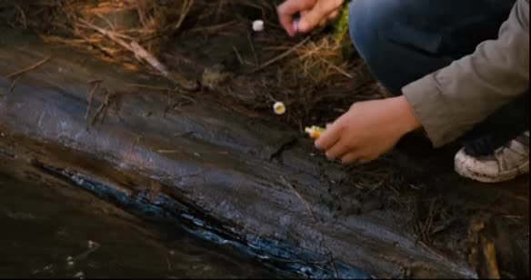 Download Bridge to Terabithia (2007) HD Movie 480p [289MB] || 720p [701MB] || 1080p [2.07GB]