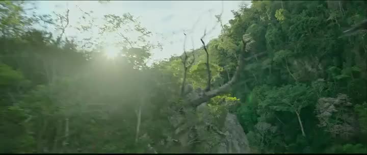 Download Transformers: Rise of the Beasts (2023) HD Movie 480p [386MB] || 720p [1.02GB] || 1080p [3.05GB]