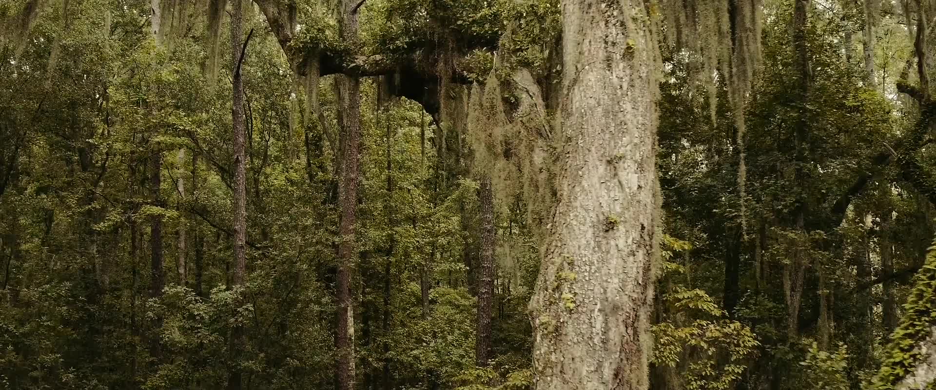 Download A Savannah Haunting (2022) HD Movie 480p [262MB] || 720p [1.09GB] || 1080p [3.50GB]
