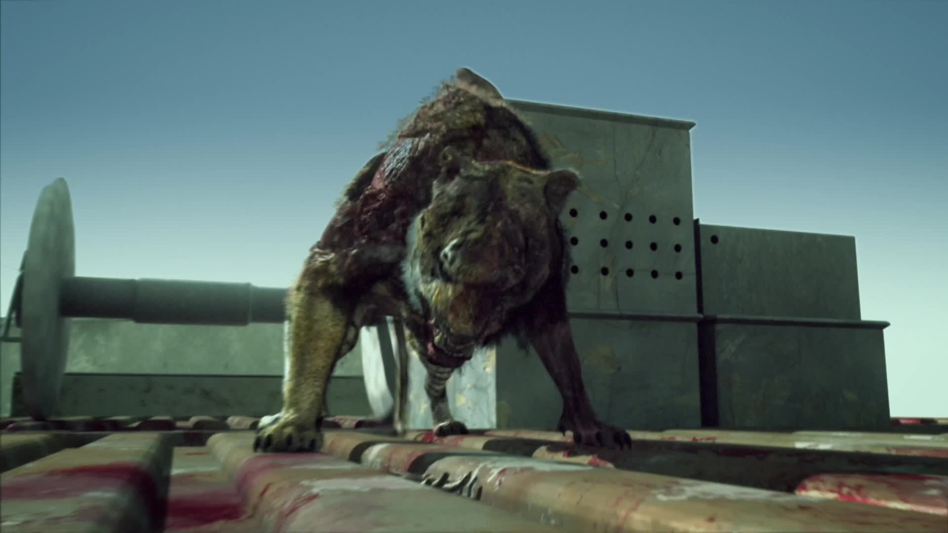 Download Zombie Apocalypse (2011) Movie