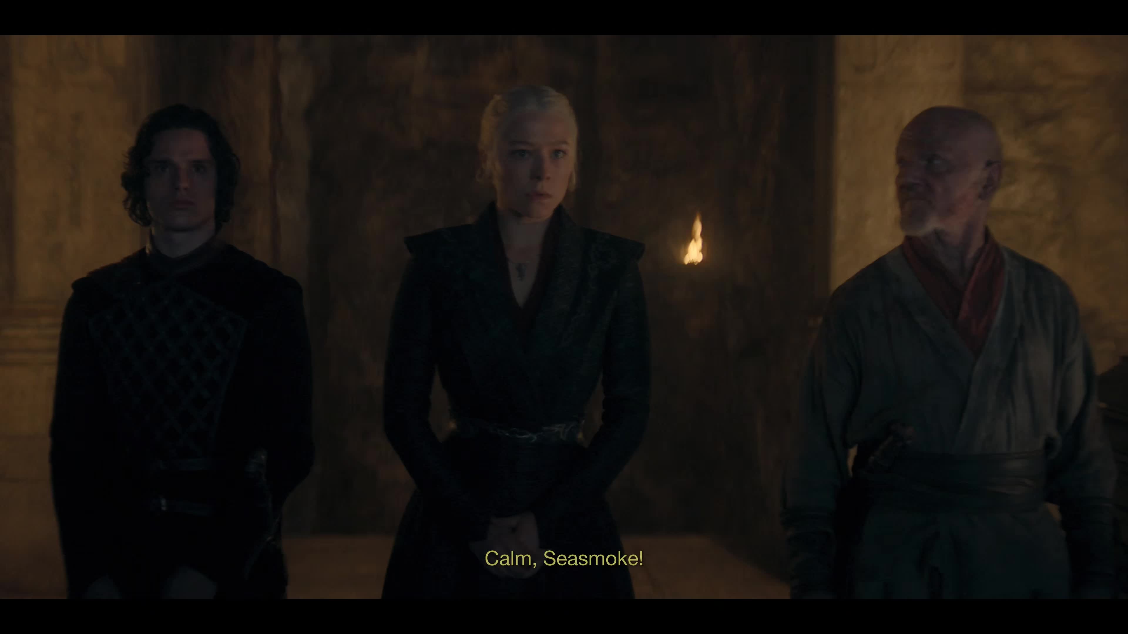 Download House of the Dragon (2024) Series