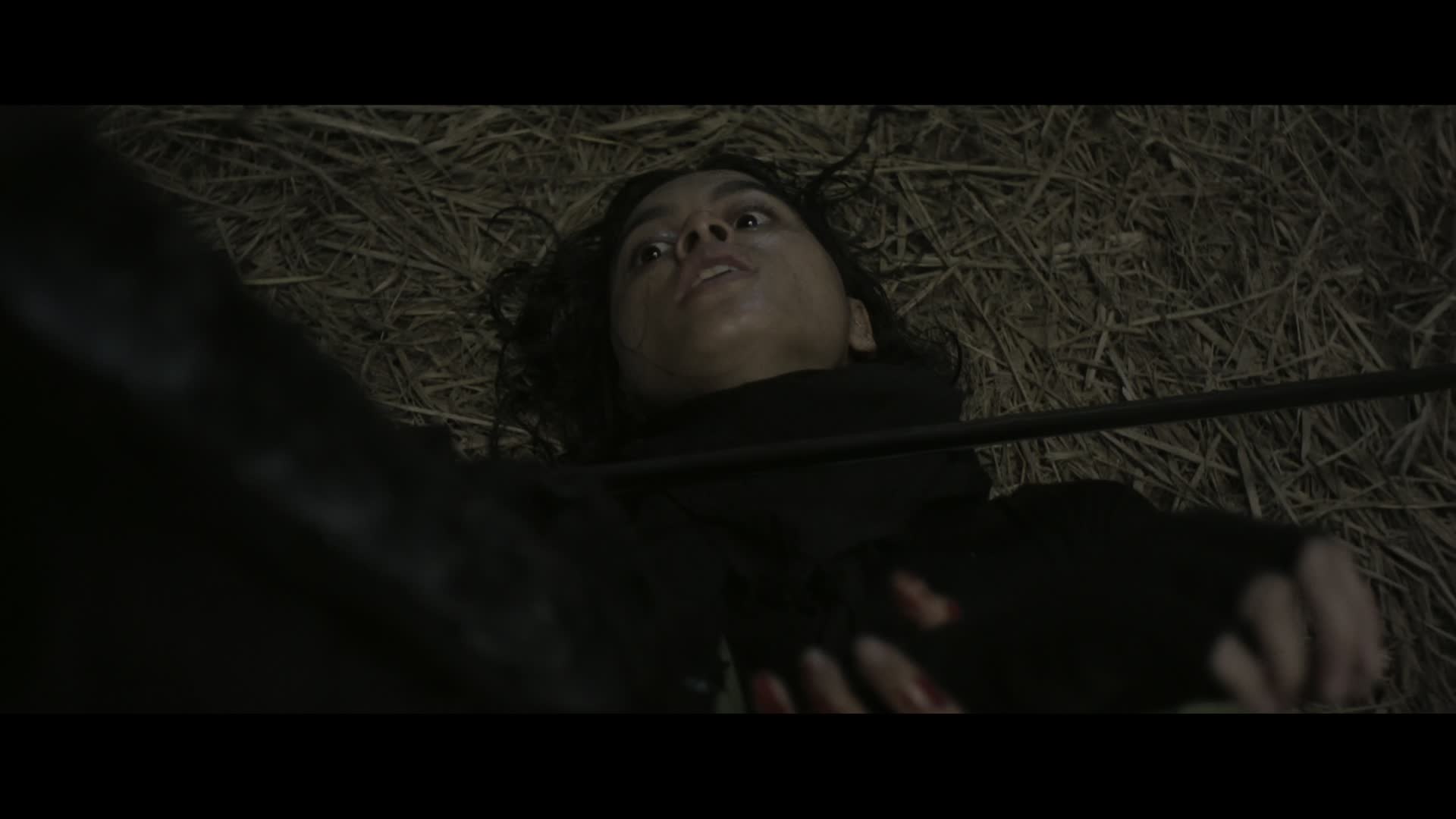 Download The Shadow Strays (2024) Movie