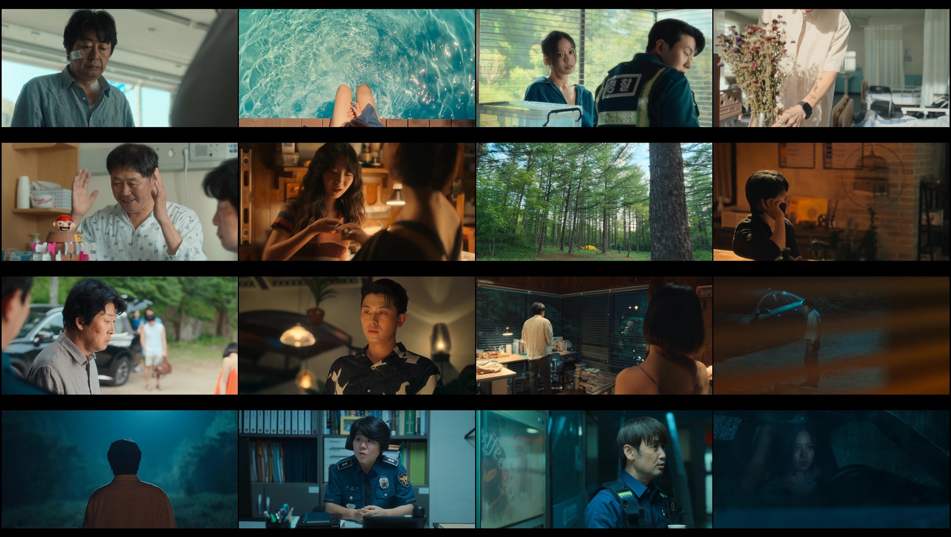 Download The Frog (2024) Series Screenshots